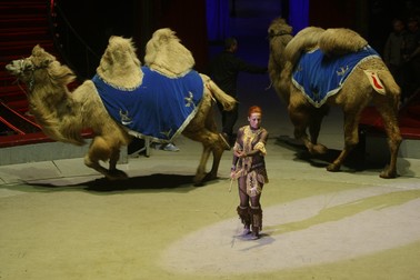 Arhiva foto