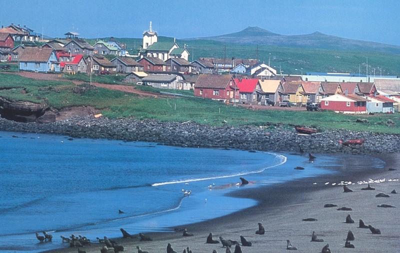 Un șobolan care s-ar putea să nici nu existe e căutat cu lumini negre și unt de arahide de locuitorii unei insule din Alaska