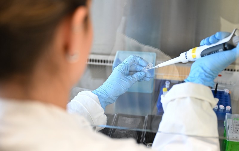 Un „comutator molecular” care transformă celulele canceroase în celule sănătoase, descoperit de cercetătorii coreeni