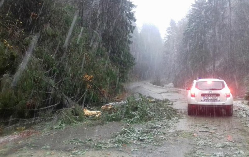 UPDATE. Ninge viscolit în Pasul Tihuța, în zona Munților Rodnei și Călimani. În zonele afectate de ninsoare, anvelopele de iarnă sunt obligatorii