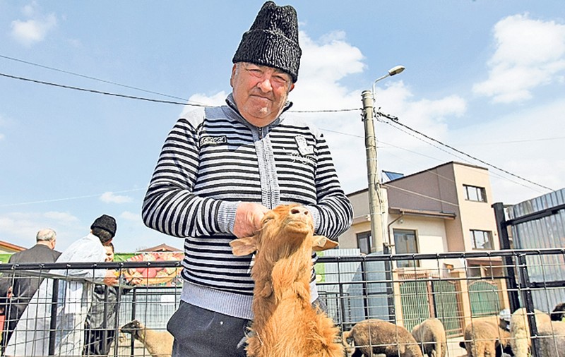 Ciobanii şi-au mutat cartierul general în Capitală. «Ia mieluţu’ cu noroc!»