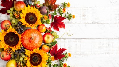 Flori de toamnă. Cele mai frumoase plante care înfloresc toamna