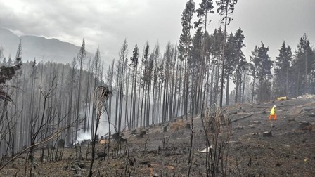 Așa arată o parte din provincia Chubut, în urma incediului forestier. Foto: Epa