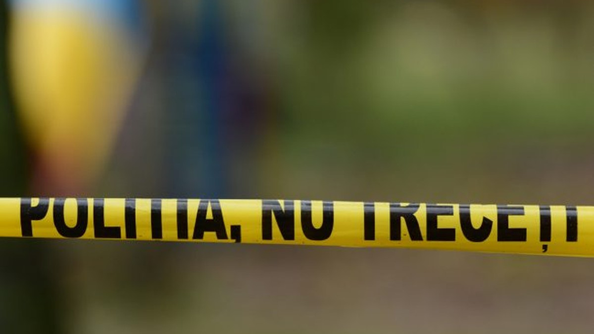Femeia care a murit ucisă de câini a fost trimisă acasă de medicul de gardă, deși era noapte și nu cunoștea orașul!