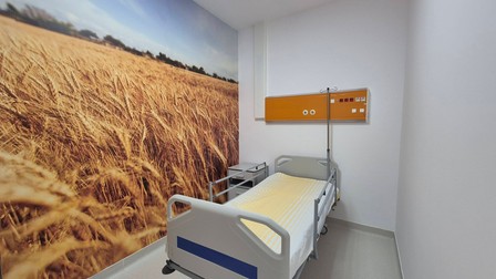 Arhiva foto