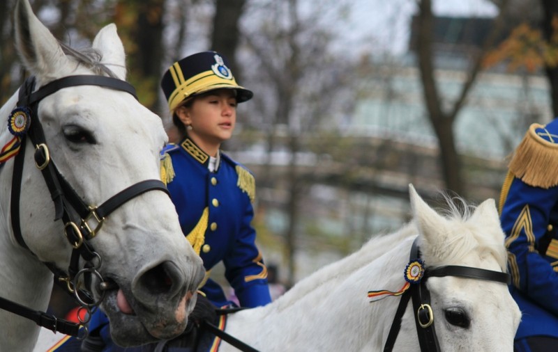 Anne Marie Bontea, imaginea Detașamentului de Cavalerie al Jandarmeriei, prima linie de cai albi