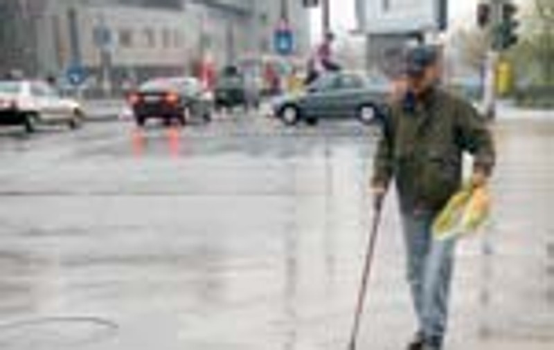 4 tone de pacura au ajuns in strada