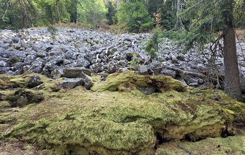 Permafrost Apuseni