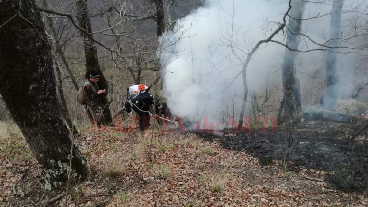 Incendiu de pădure la Brezoi