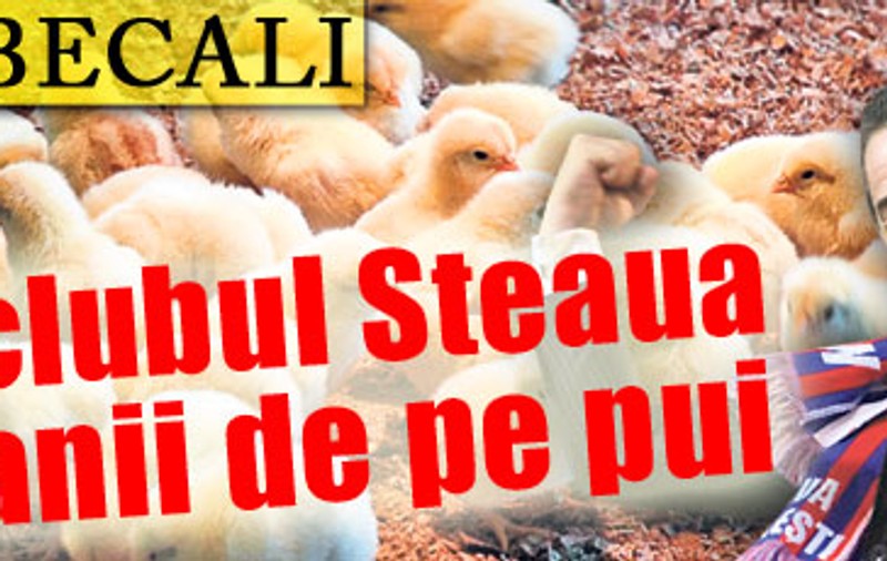 Gigi Becali ţine clubul Steaua cu banii de pe pui