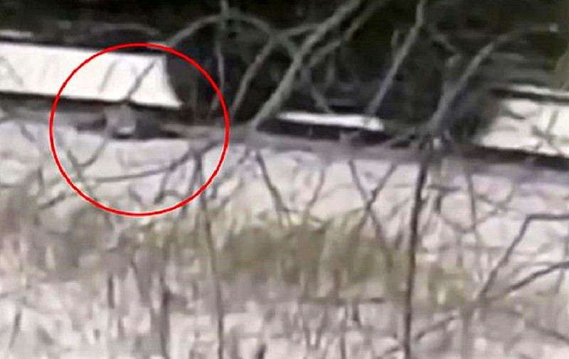 VIDEO | Un băiat de 11 ani a rămas fără picioare, după ce a încercat să facă o cascadorie pe un tren