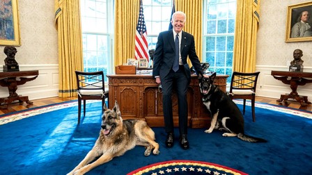 Joe Biden, cu Major (dreapta) și Champ, în Biroul Oval. Foto: Hepta.