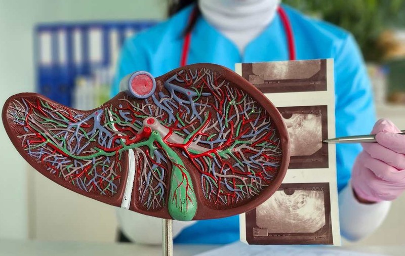 Oamenii de știință au descoperit principala cauză a afecțiunilor care distrug ficatul. Un nou tratament pentru bolile hepatice