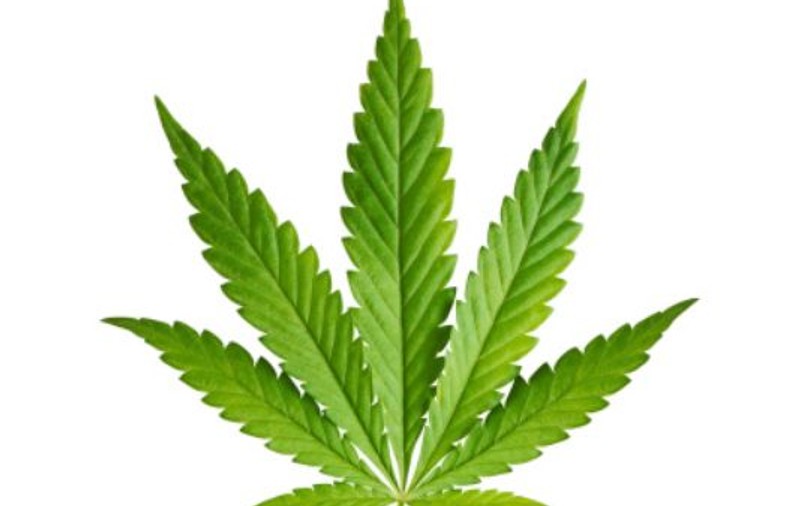 Consumul și posesia de marijuana au fost complet dezincriminate în Georgia
