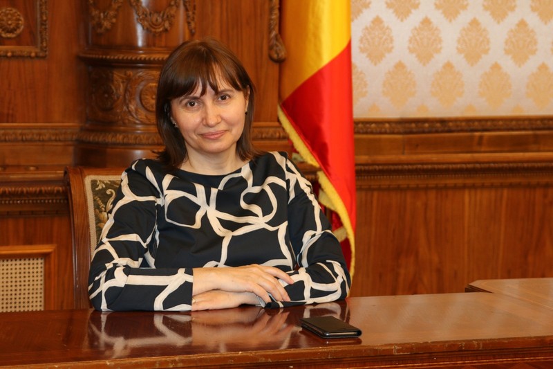 Daniela Vișoianu crede că „nu putem vorbi despre un profil de competențe al absolventului”