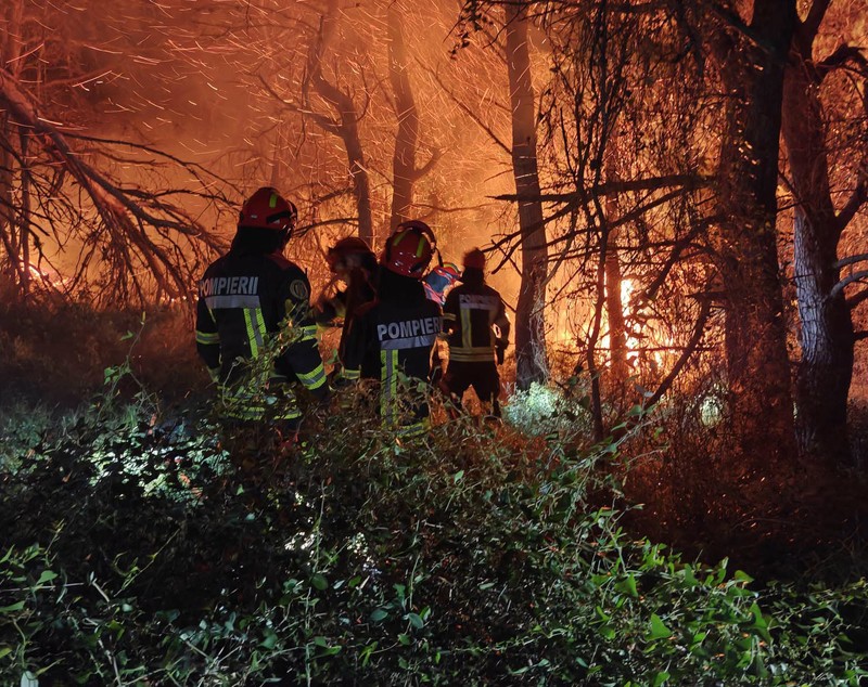 Peste 1.000 de hectare, făcute scrum de incendii violente, lângă Marsilia. Flăcările uriașe continuă să înghită teren
