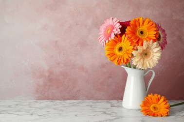 Buchet de gerbera tăiate, în vază