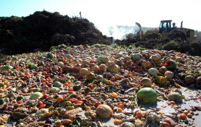 Alimente de 400 de miliarde de dolari se pierd până să ajungă în magazine