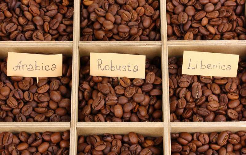 Care este diferența dintre cafeaua Arabica și cafeaua Robusta
