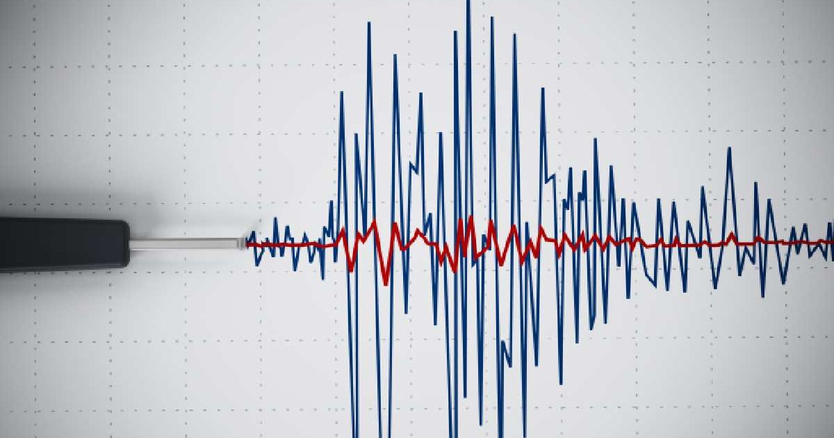 Imagine ilustrativă cu un seismograf