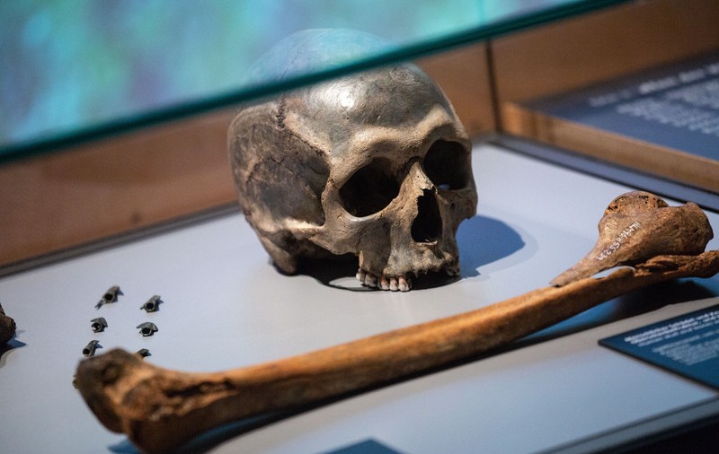 Studiu: Genele moștenite de la neanderthalieni cresc riscul dezvoltării unei forme grave de COVID
