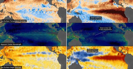 Oceanul Pacific se încălzește, nivelul mării se modifică, iar culoarea apei reflectă schimbările din ecosistemul marin. Sursa foto: NASA