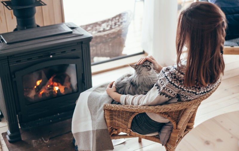 Britanicii, sfătuiți de un furnizor de energie să-și îmbrățișeze animalele pentru a se încălzi