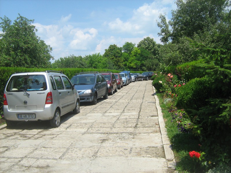 Arhiva foto