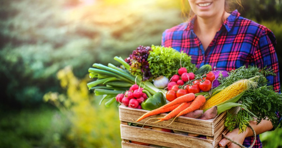 Fructele și legumele lunii Iulie. Ce fructe și legume se pot consuma în luna iulie