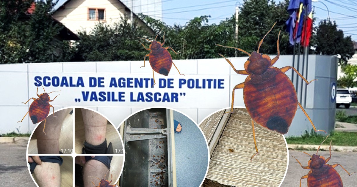 Colaj plosnite Scoala-de-Politie-Vasile-Lascar Campina. Foto observatorulprahovean.ro, Facebook