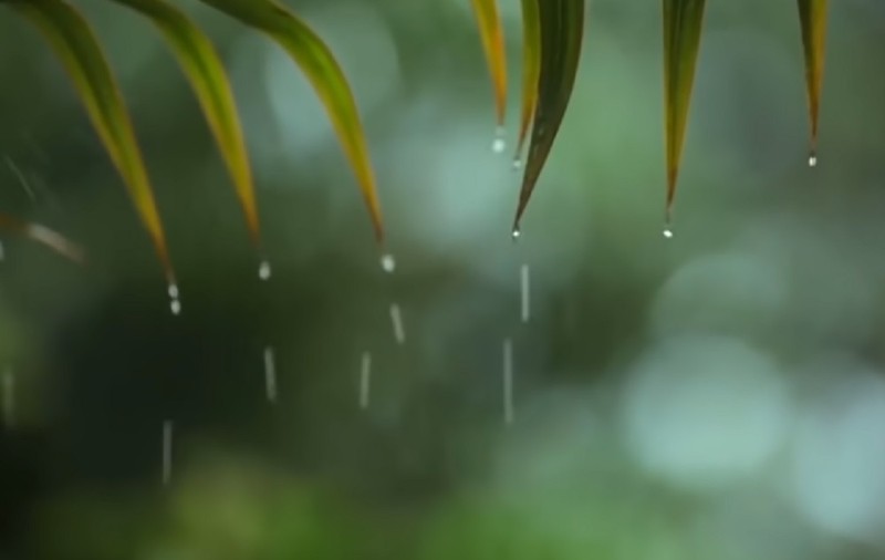 Prognoza meteo, 7 iunie 2020. Vreme caldă, cu instabilitate atmosferică