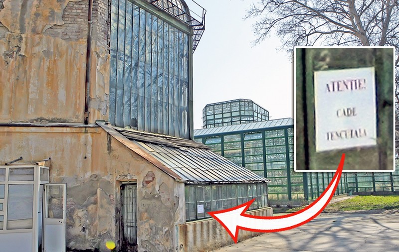 Serele Grădinii Botanice, în pericol de prăbuşire! GALERIE FOTO