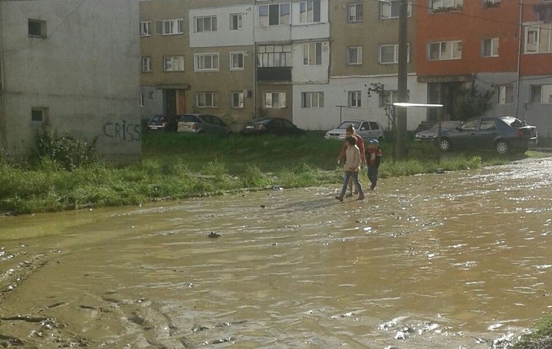 Ploile au făcut prăpăd în Valea Jiului. Viiturile au spălat regiunea de la est la vest | GALERIE FOTO