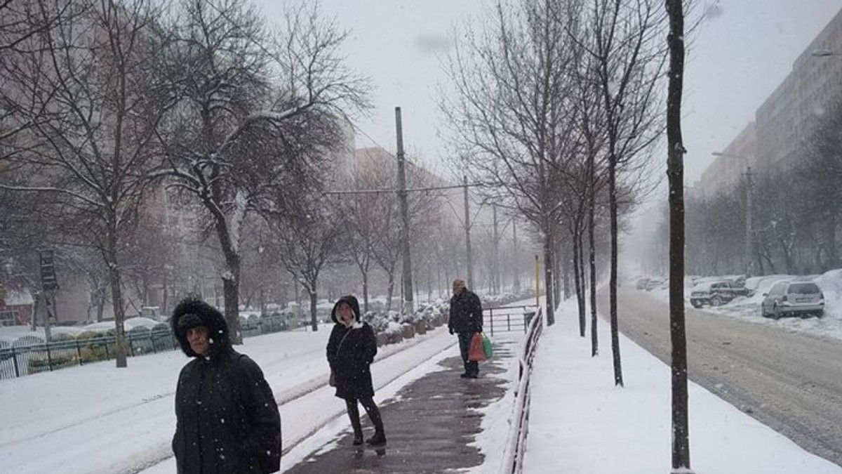 Măsuri luate de autorități din cauza viscolului care va lovi România în următoarele 24 de ore. Ministtrul de interne Carmen Dan și reprezentanții autorităților locale au prezentat, în urmă cu puțin timp, la sediul ministerului ultimele date.