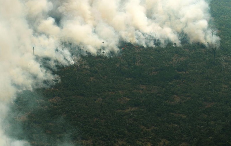 Planeta în flăcări. În timp ce pompierii încearcă să stingă focul în Europa, în Brazilia fermierii au dat foc Pădurii Amazoniene