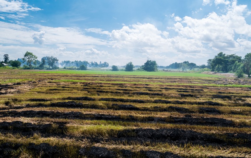 LIBERTATEA TE AJUTĂ: Primăria poate mări impozitul pe terenul agricol nelucrat?