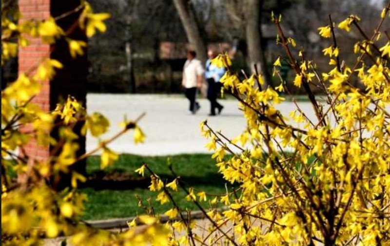 Prognoza meteo pentru perioada 24 iunie - 7 iulie. Vremea va fi caldă, chiar caniculară, dar instabilă