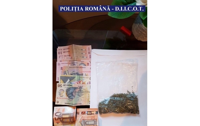 DIICOT a declanșat operațiunea „Șoricioaica”: 4.500 de doze de droguri confiscate și 9 persoane ridicate pentru audieri