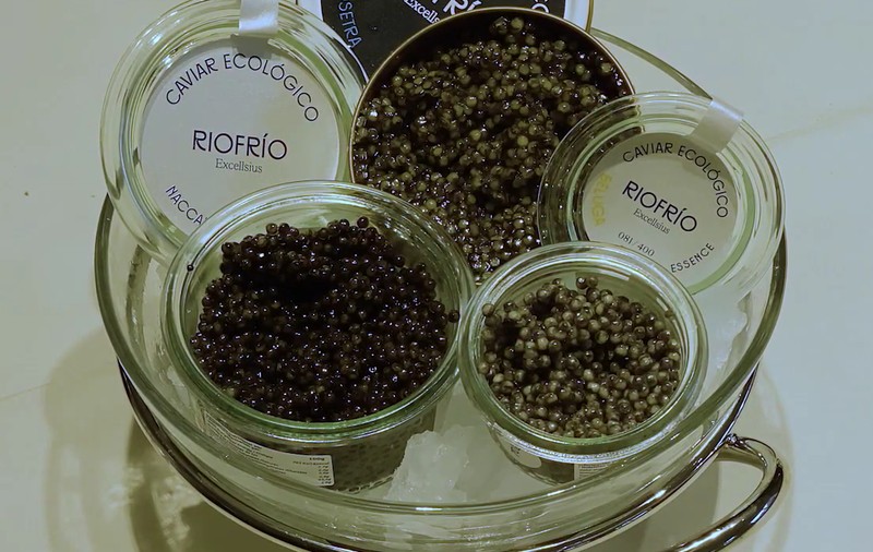 O țară din Europa produce „primul caviar organic” și îl vinde cu 8.000 de euro/kg: „Doar din icre de sturion și sare. Nu există aditivi”