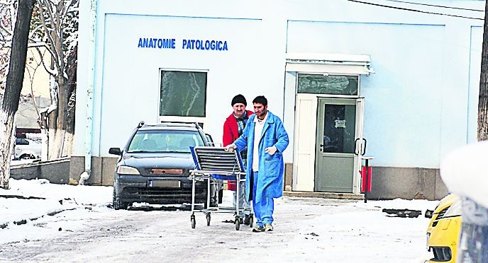 Arhiva foto