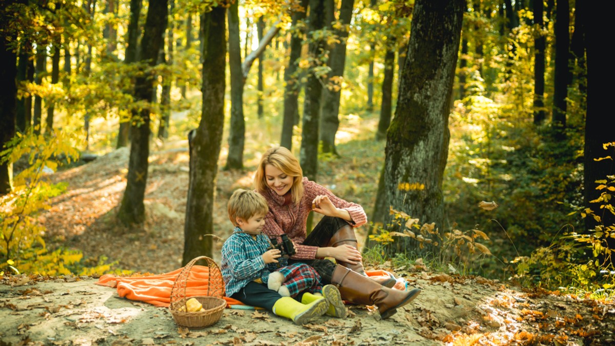 Păduri lângă București pentru picnic