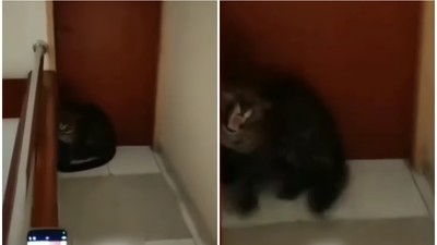 Leopard-hotel-indonezia