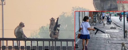Arhiva foto
