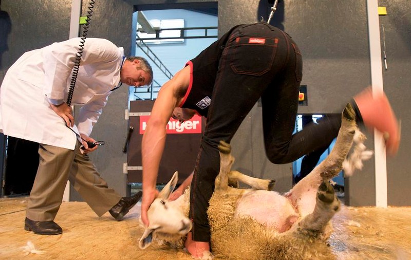 Concurs de tuns oile în Norvegia