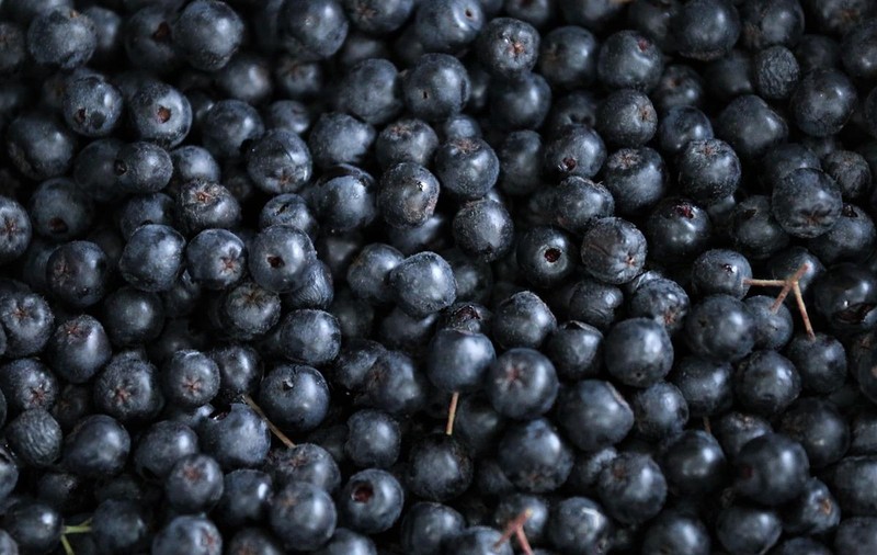 5 motive pentru care aronia este considerată un „super-fruct” și cum să o consumi corect