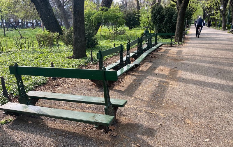 Istoria abandonată a Bucureștiului. Bănci vechi de 100 de ani, aduse din Franța, sunt „exilate” într-un colț din Parcul Cișmigiu