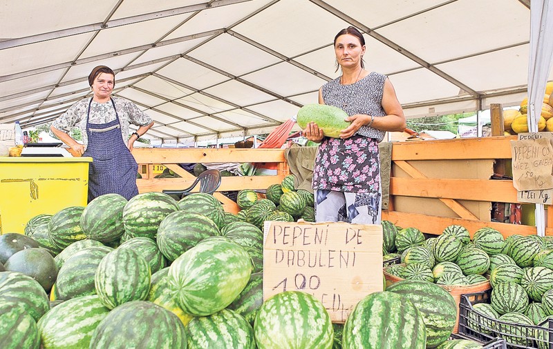 Pepeni din Dăbuleni cu origini turceşti