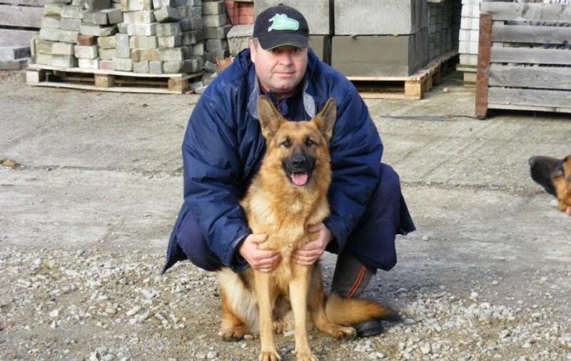 Medicul veterinar care tratează gratis câinii abandonați pe stradă în Bistrița. „Patrupedele sunt fidele, bipezii nu”