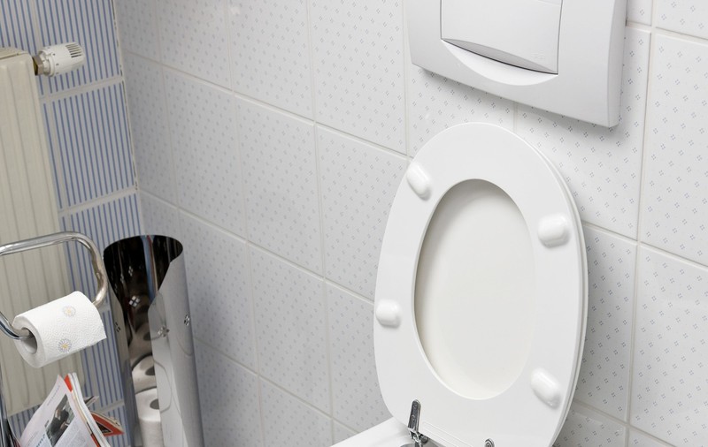 ULUITOR! Iată CE MICROBI sunt în TOALETELE PUBLICE