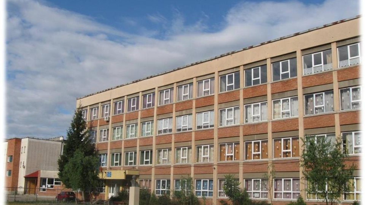 O învăţătoare din Arad e acuzată că nu îi lasă pe copii la toaletă. Școala Gimnazială "Caius Iacob" din Arad